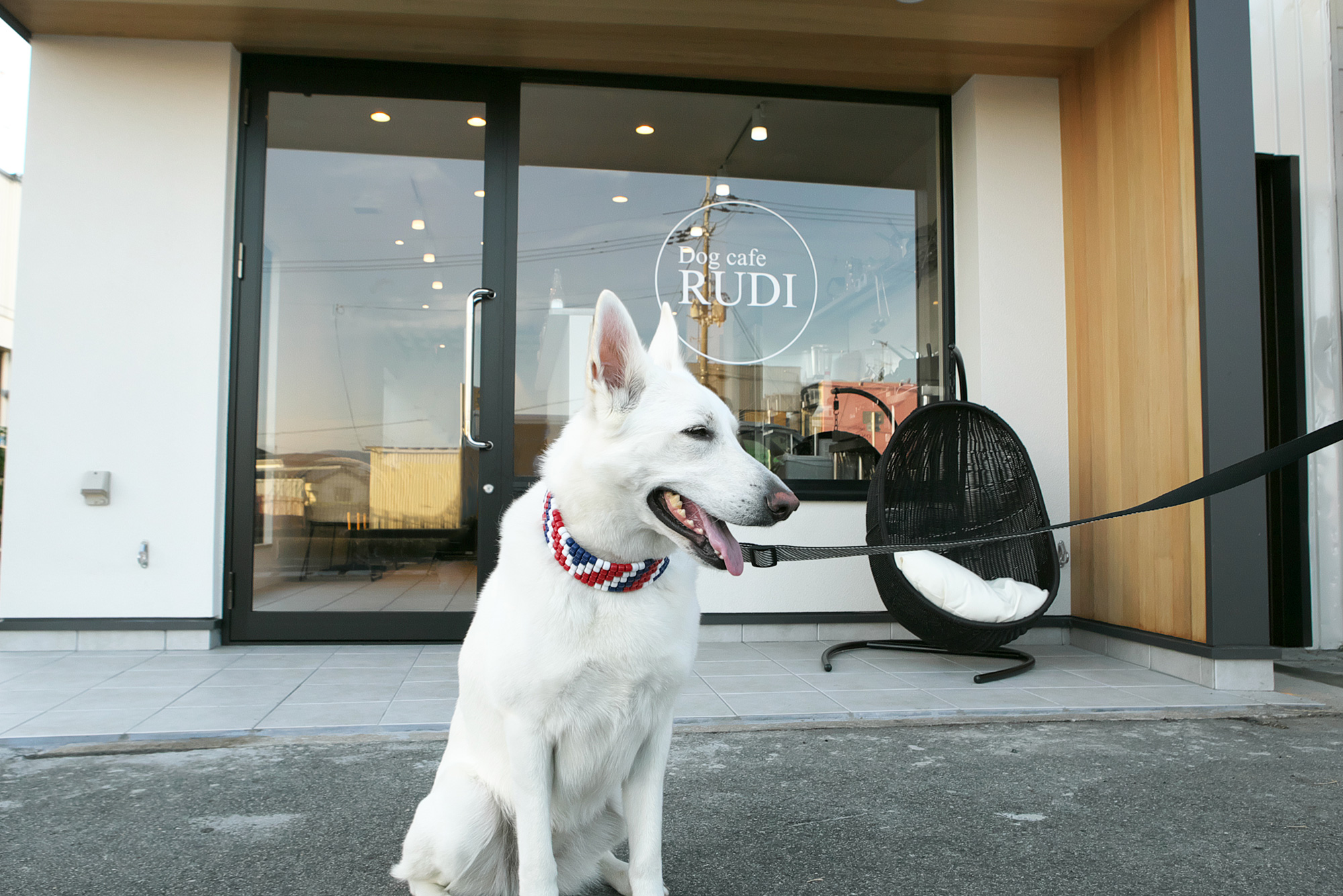 Dog Cafe RUDI スライダー画像